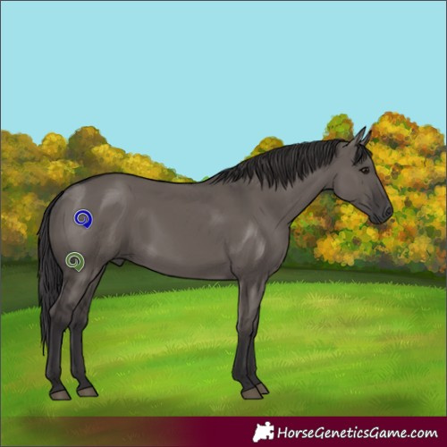 Horse Color:Smoky Grullo 