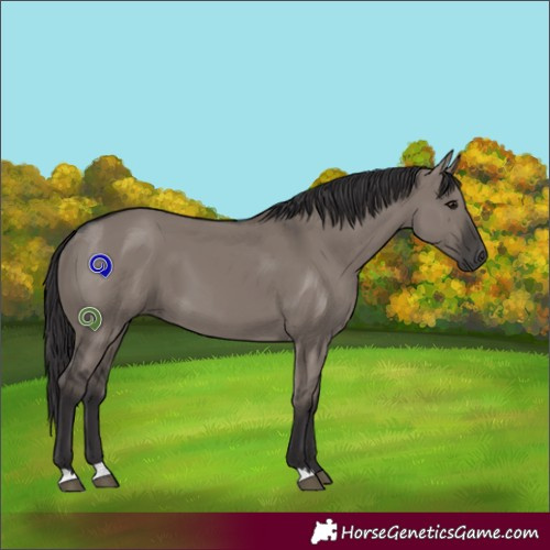 Horse Color:Smoky Grullo