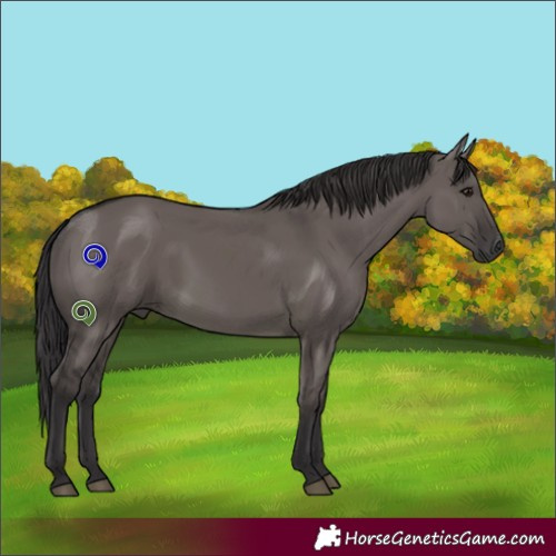 Horse Color:Smoky Grullo 