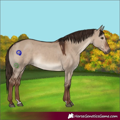 Horse Color:Liver Red Dun
