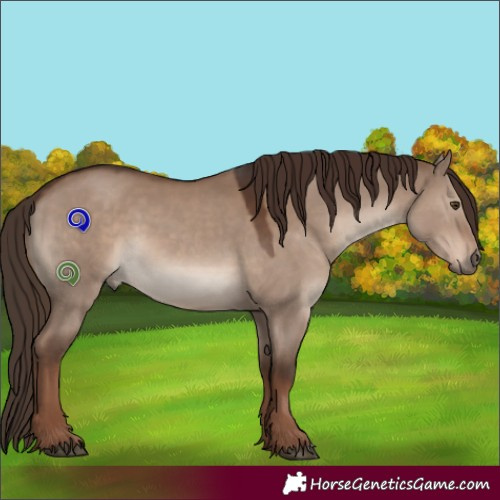 Horse Color:Liver Red Dun