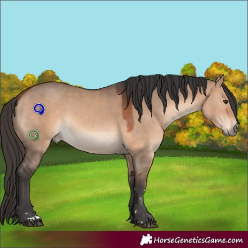 Horse Color:Bay Dun