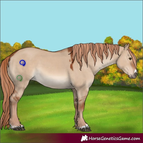 Horse Color:Red Dun 
