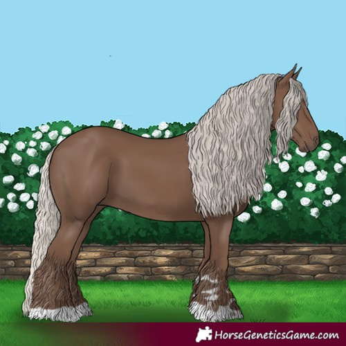 Horse Color:Silver Black 