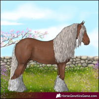 Horse Color:Silver Black Tobiano 