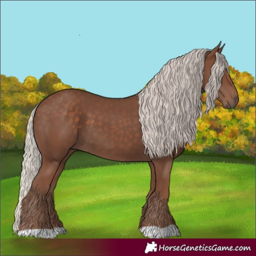 Horse Color:Silver Black 