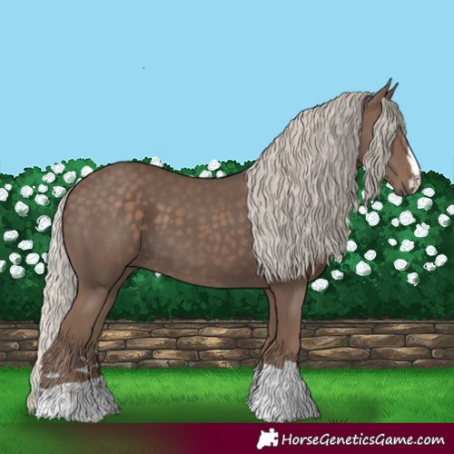 Horse Color:Silver Black 