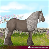 Horse Color:Silver Black 