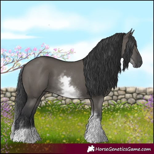 Horse Color:White Spotted Grullo 