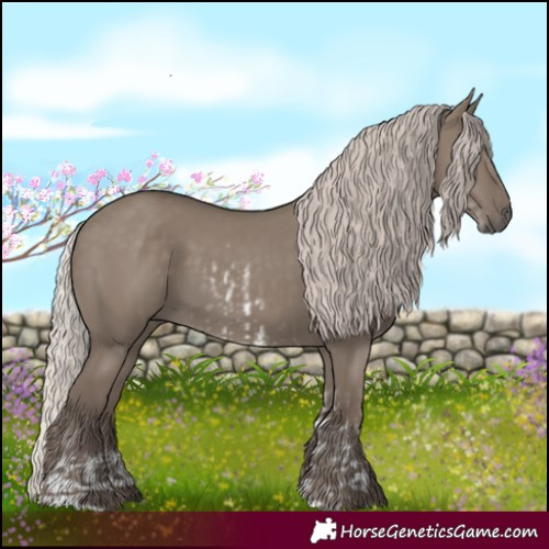 Horse Color:White Spotted Silver Grullo and Silver Grullo Rabicano