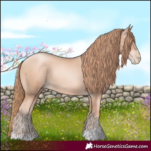 Horse Color:Gold Champagne Pearl Rabicano and Gold Champagne Pearl Rabicano