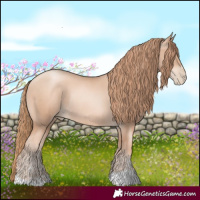 Horse Color:Gold Champagne Pearl Rabicano  and Gold Champagne Pearl Rabicano 