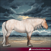 Horse Color:Silver Bay Roan Dun 