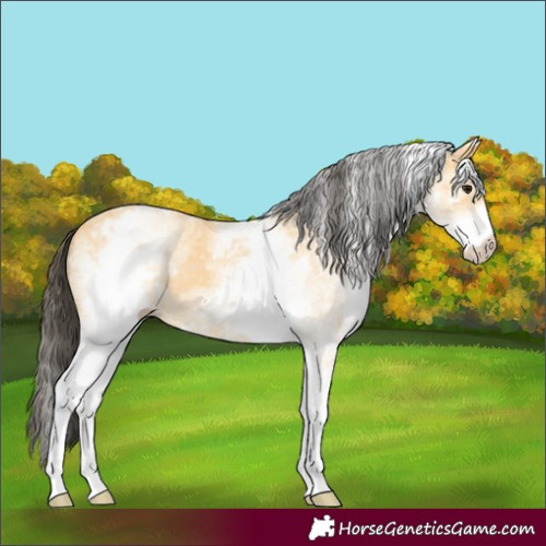 Horse Color:White Spotted Buckskin