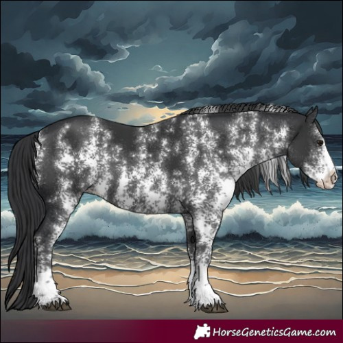 Horse Color:Black Sabino Rabicano 