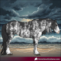 Horse Color:Black Sabino Rabicano