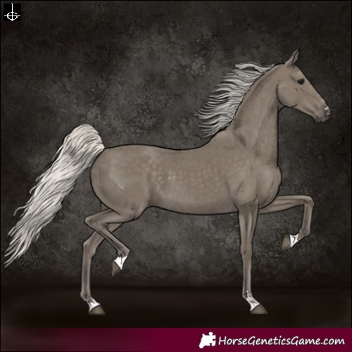 Horse Color:Silver Smoky Black 