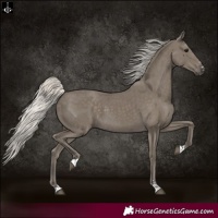 Horse Color:Silver Smoky Black 