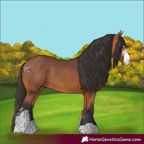 Horse Color:Bay Sabino Rabicano