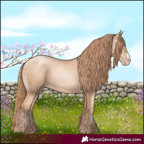 Horse Color:Gold Champagne Pearl Rabicano and Gold Champagne Pearl Frame Rabicano