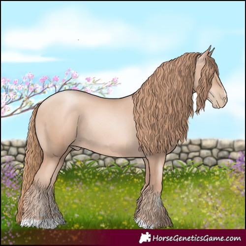 Horse Color:Gold Champagne Pearl Rabicano 