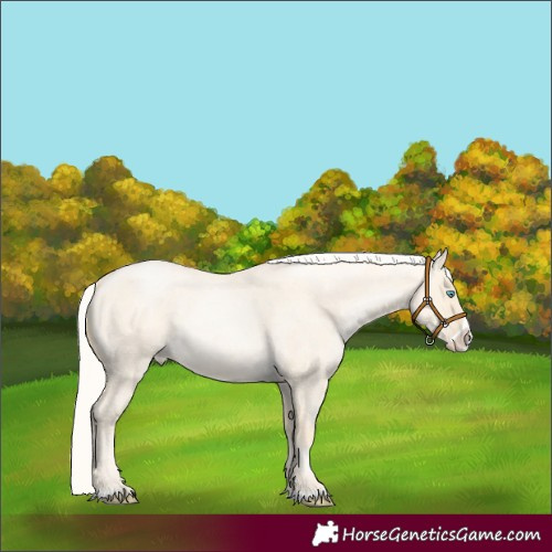 Horse Color:Silver Smoky Grullo Roan Pearl Frame 