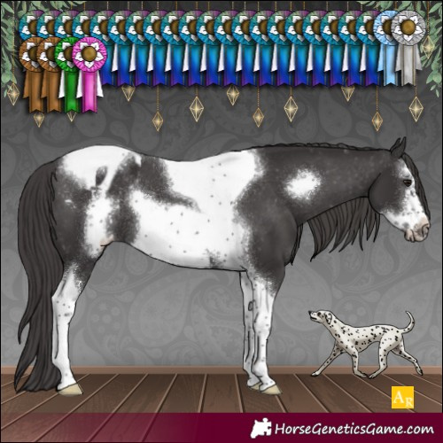 Horse Color:Smoky Black Sabino Tobiano Frame Varnish Rabicano 
