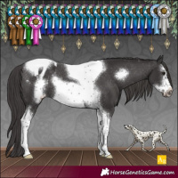 Horse Color:Smoky Black Sabino Tobiano Frame Varnish Rabicano