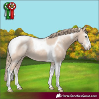 Horse Color:Smoky Creme Sabino Tobiano 