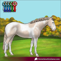 Horse Color:Smoky Creme Sabino Tobiano 