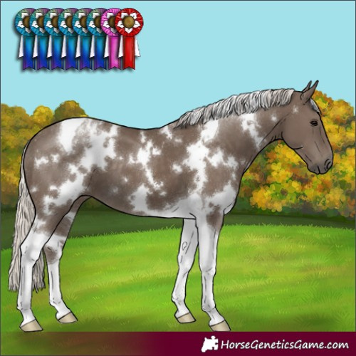 Horse Color:White Spotted Silver Smoky Black Tobiano 