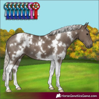 Horse Color:White Spotted Silver Smoky Black Tobiano 