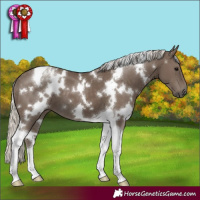 Horse Color:White Spotted Silver Smoky Black Tobiano 