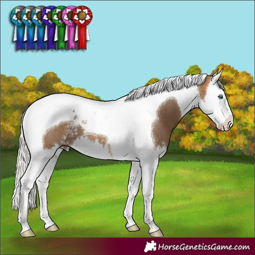 Horse Color:Silver Buckskin Sabino Splash Tobiano 