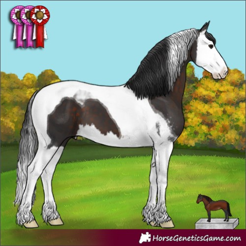 Horse Color:Brown Sabino Splash Tobiano