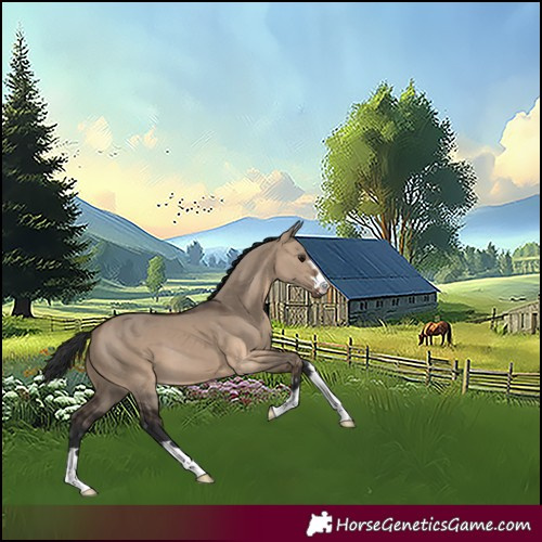 Horse Color:Brown Dun 