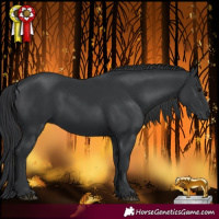 Horse Color:Black 