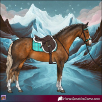 Horse Color:Chocolate Palomino 