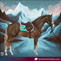 Horse Color:Chocolate Palomino 