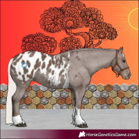 Horse Color:Silver Black Tobiano Appaloosa 
