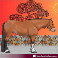 Horse Color:Bay Tobiano Rabicano 