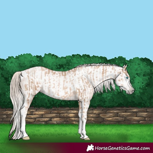 Horse Color:Chocolate Palomino Pearl Tobiano Frame  and Gray Chocolate Palomino Pearl Tobiano Frame 