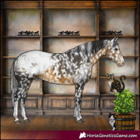 Horse Color:Powder White Buckskin Snowcap Rabicano 