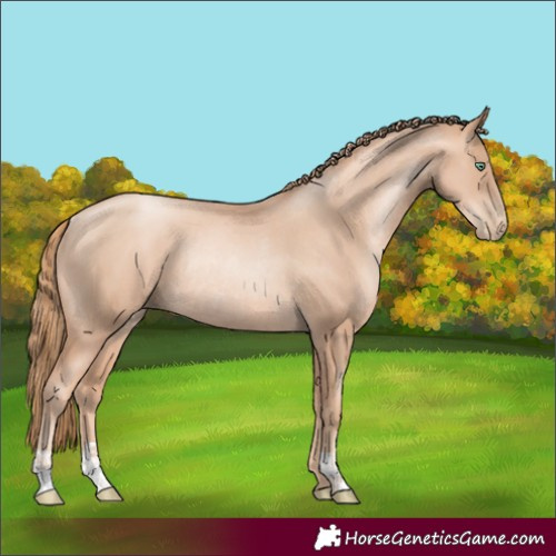 Horse Color:Gold Champagne Pearl Rabicano  and Gold Champagne Pearl Rabicano 