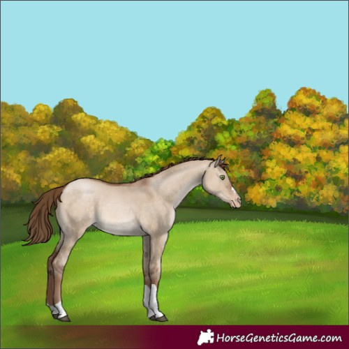 Horse Color:Brown Pearl Dun Tobiano 