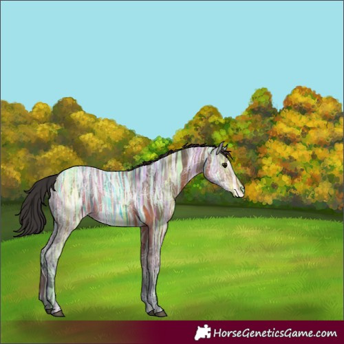Horse Color:Brown Ice Rabicano 