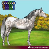 Horse Color:Brown Dun Tobiano Snowcap Rabicano Brindle 