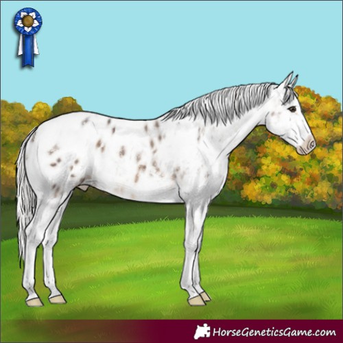 Horse Color:White Spotted Silver Brown Dun Tobiano Appaloosa Rabicano Brindle 