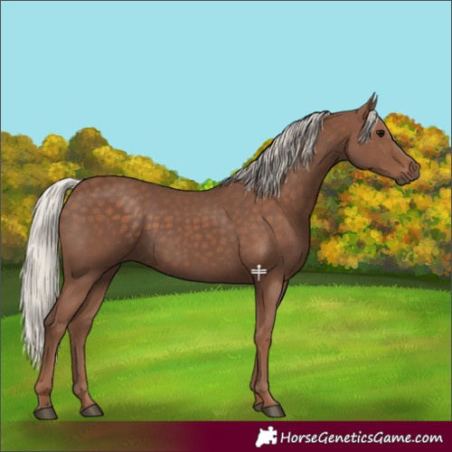 Horse Color:Silver Black 