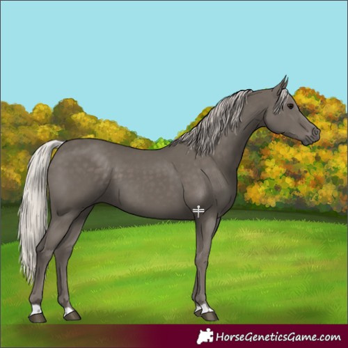 Horse Color:Silver Black 